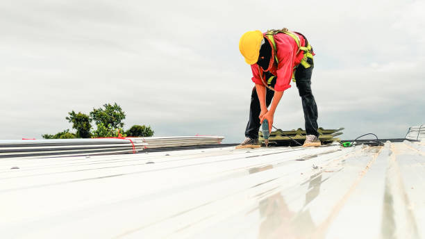 Best Solar Panel Roofing Installation  in Fredonia, KS